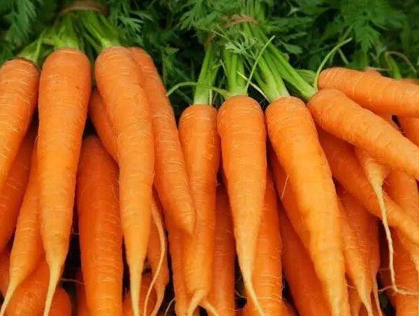 carrots