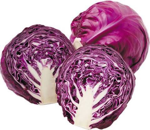 purple cabbage