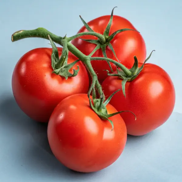 Tomatoes (Organic)